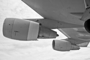 犬を飛行機で移動する際のルールは何ですか？