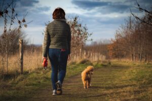 犬が散歩中に吠えるのを解消するための効果的な方法は？