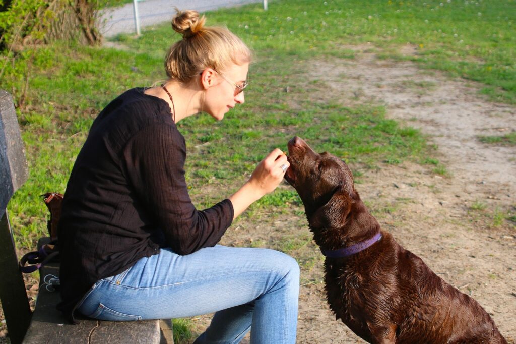 犬が飼い主に依存している症状とはどのようなものですか？