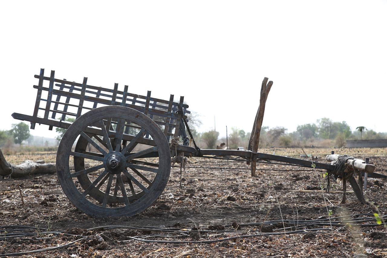 犬の去勢におけるメリットとデメリットは何ですか？