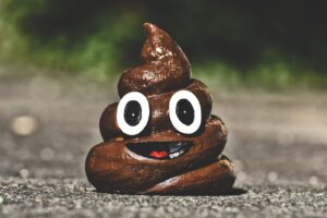 猫のうんちの状態が健康のサインである理由は？