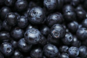 ペットフードの効果を比較する際のポイントは？