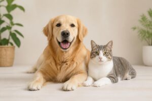 子犬のフード選び方で気を付けるべきポイントは？