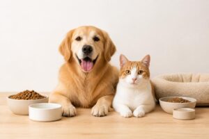 猫の子宮蓄膿症の症状にはどんなものがあるの？
