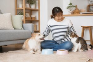 犬の保険はどれを選ぶ？比較とおすすめを徹底解説！